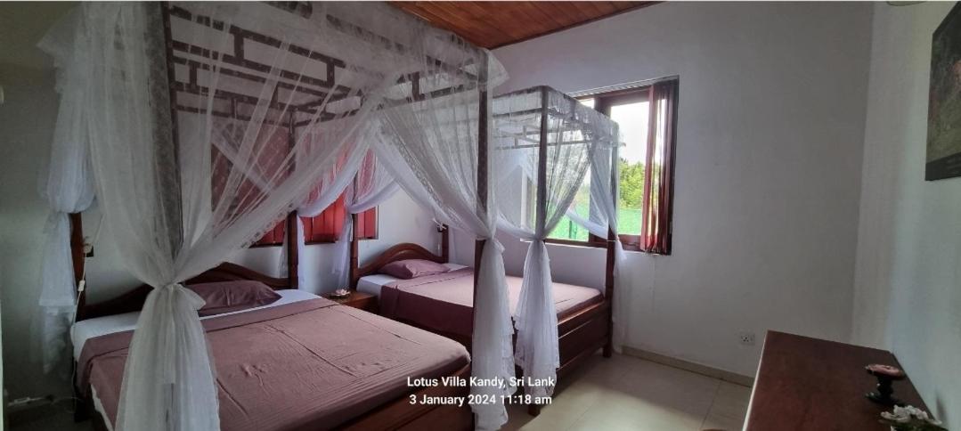 Lotus Villa Kandy Peradeniya Exterior photo